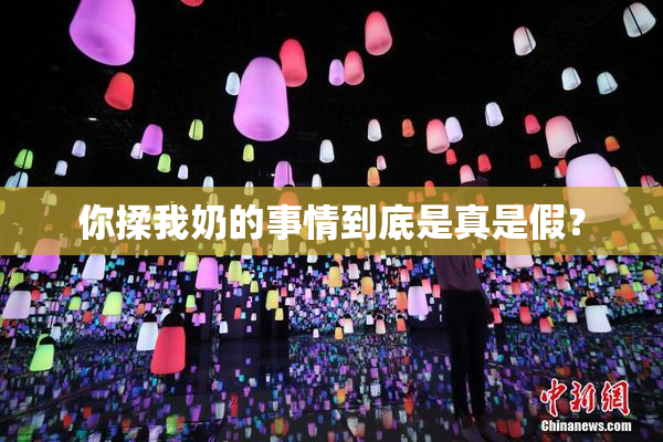 你揉我奶的事情到底是真是假？