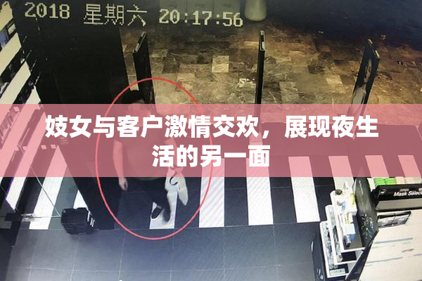 妓女与客户激情交欢，展现夜生活的另一面