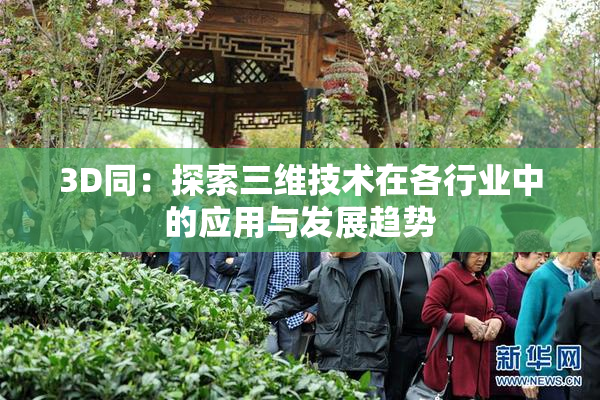 3D同：探索三维技术在各行业中的应用与发展趋势