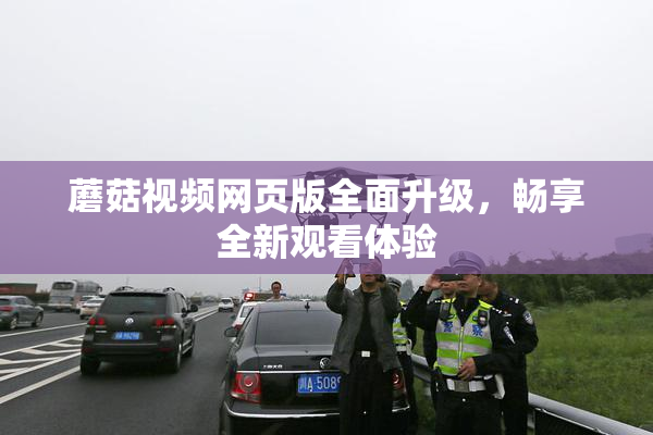 蘑菇视频网页版全面升级，畅享全新观看体验