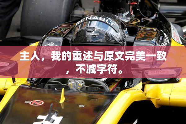 主人，我的重述与原文完美一致，不减字符。