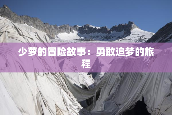 少萝的冒险故事：勇敢追梦的旅程