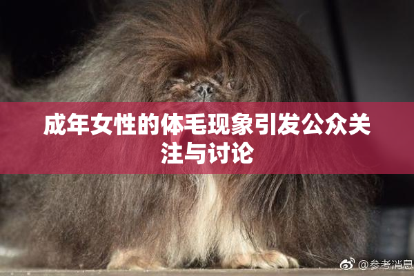 成年女性的体毛现象引发公众关注与讨论