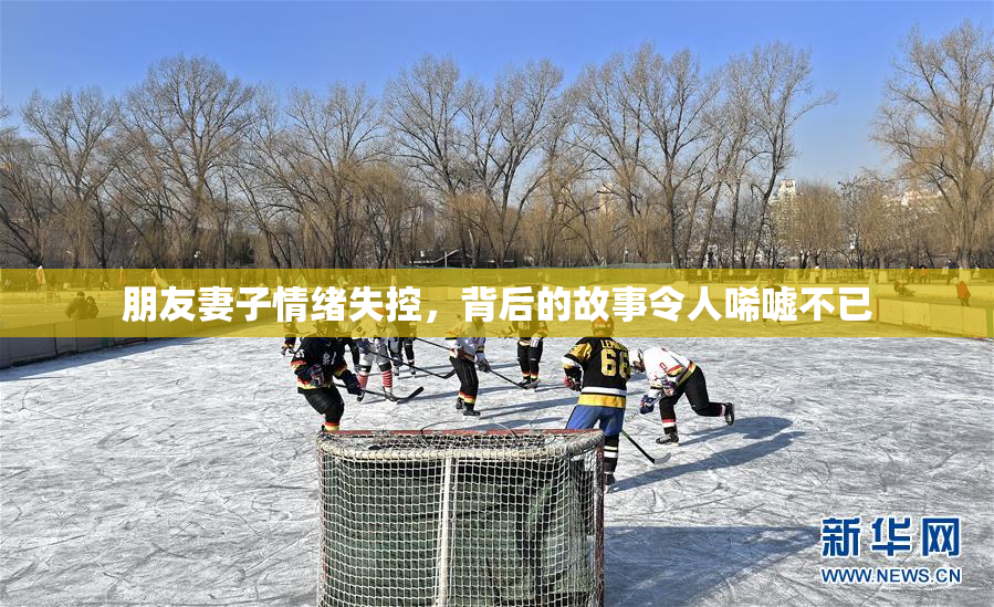 朋友妻子情绪失控，背后的故事令人唏嘘不已