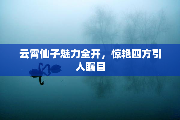云霄仙子魅力全开，惊艳四方引人瞩目