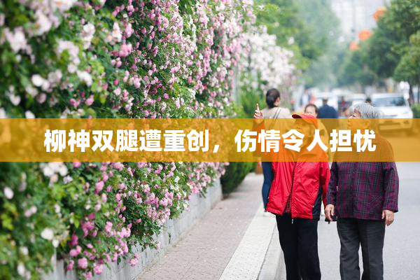 柳神双腿遭重创，伤情令人担忧