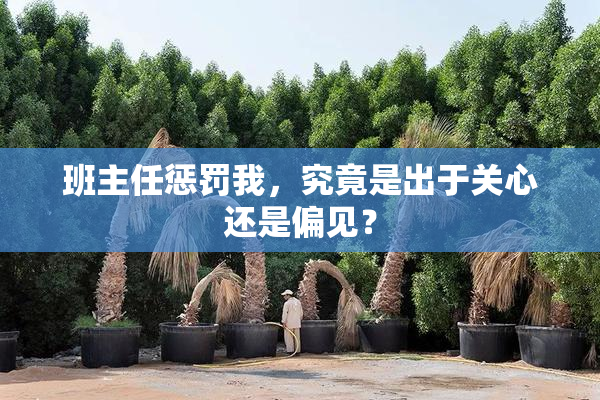 班主任惩罚我，究竟是出于关心还是偏见？