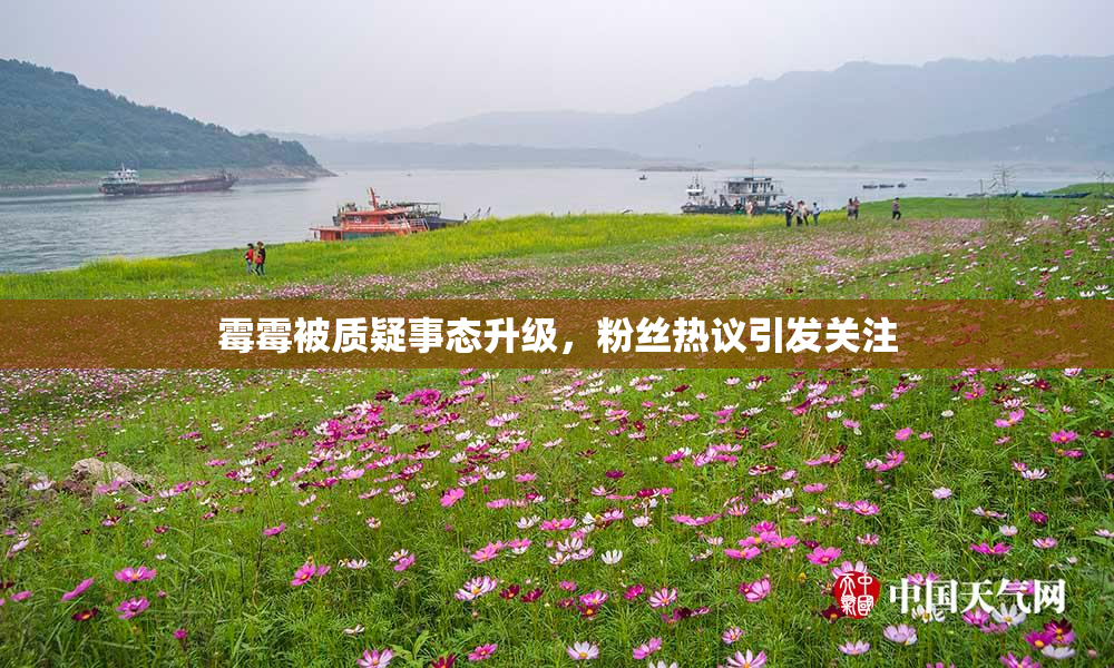 霉霉被质疑事态升级，粉丝热议引发关注