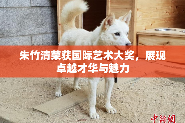 朱竹清荣获国际艺术大奖，展现卓越才华与魅力