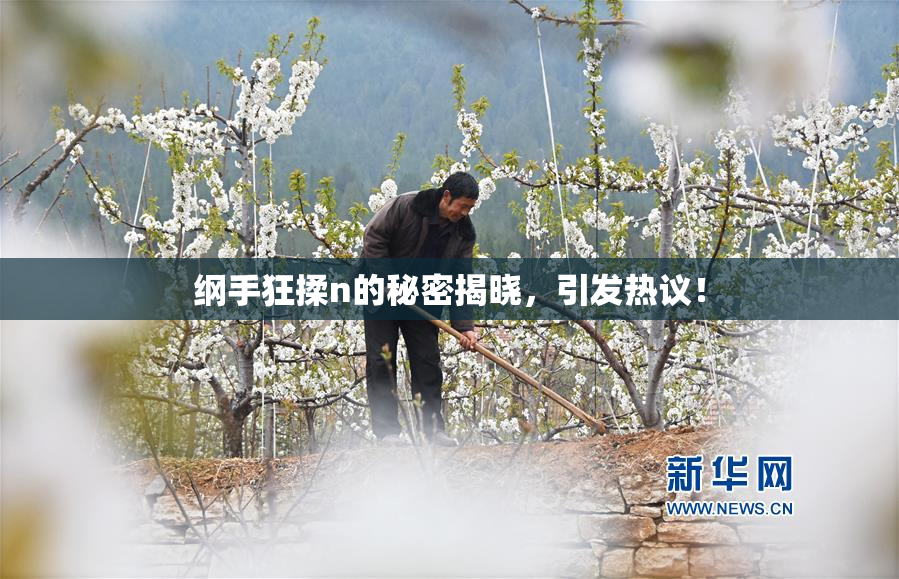 纲手狂揉n的秘密揭晓，引发热议！