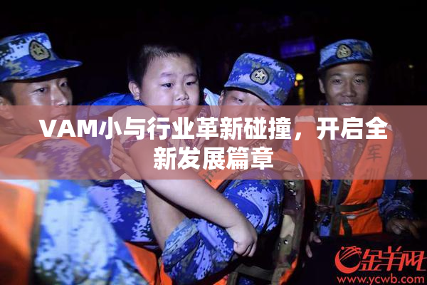 VAM小与行业革新碰撞，开启全新发展篇章