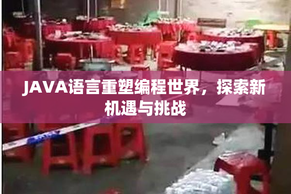 JAVA语言重塑编程世界，探索新机遇与挑战