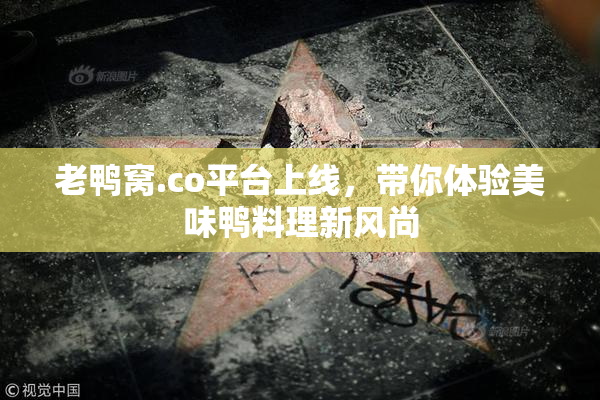 老鸭窝.co平台上线，带你体验美味鸭料理新风尚