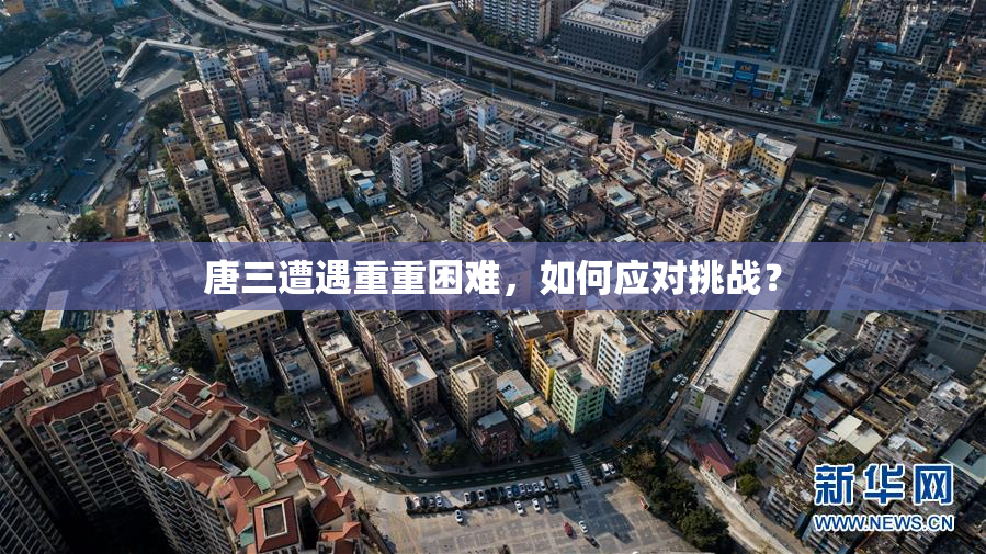 唐三遭遇重重困难，如何应对挑战？