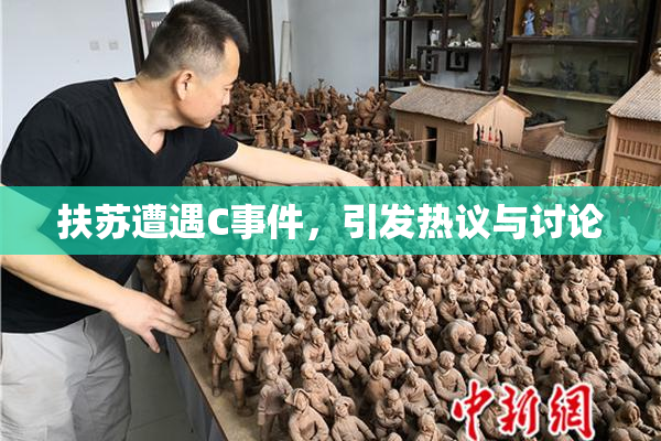 扶苏遭遇C事件，引发热议与讨论