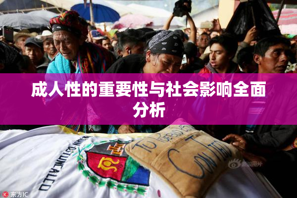 成人性的重要性与社会影响全面分析
