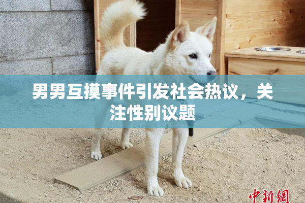 男男互摸事件引发社会热议，关注性别议题