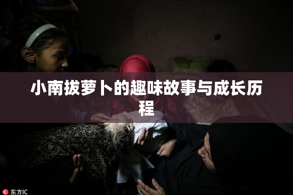 小南拔萝卜的趣味故事与成长历程