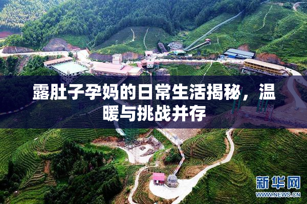 露肚子孕妈的日常生活揭秘，温暖与挑战并存