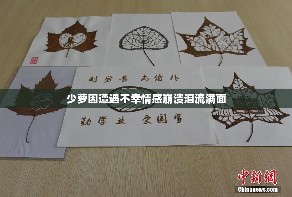 少萝因遭遇不幸情感崩溃泪流满面