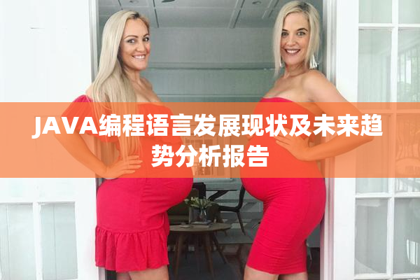 JAVA编程语言发展现状及未来趋势分析报告