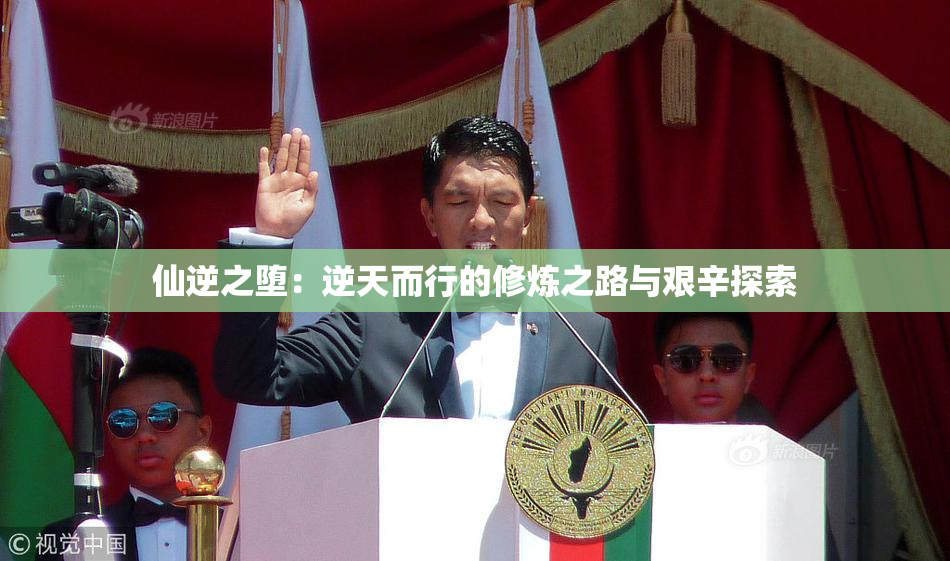 仙逆之堕：逆天而行的修炼之路与艰辛探索