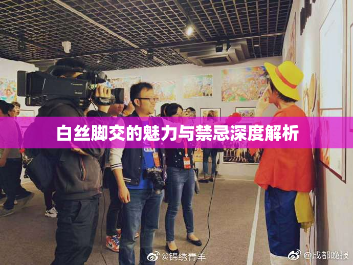 白丝脚交的魅力与禁忌深度解析