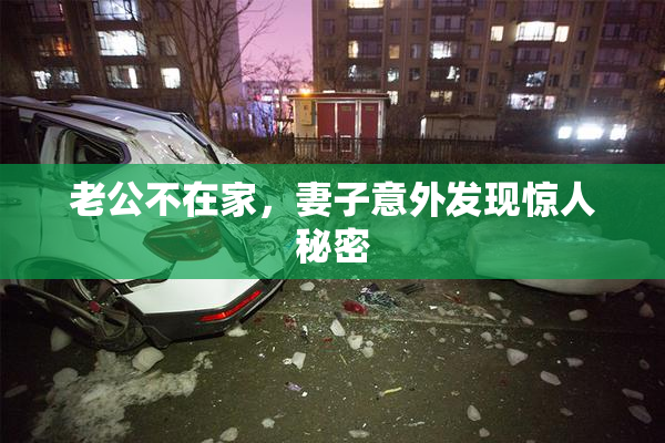 老公不在家，妻子意外发现惊人秘密