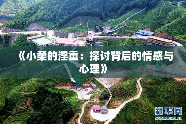 《小柔的淫重：探讨背后的情感与心理》