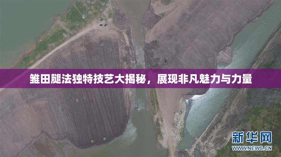 雏田腿法独特技艺大揭秘，展现非凡魅力与力量