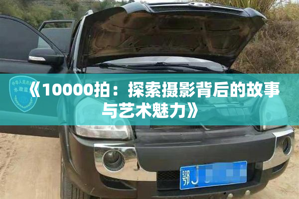 《10000拍：探索摄影背后的故事与艺术魅力》