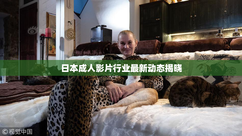 日本成人影片行业最新动态揭晓