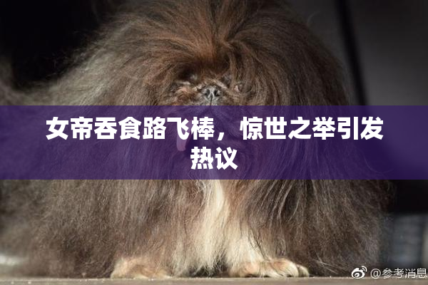 女帝吞食路飞棒，惊世之举引发热议