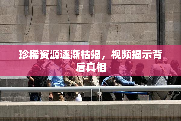 珍稀资源逐渐枯竭，视频揭示背后真相
