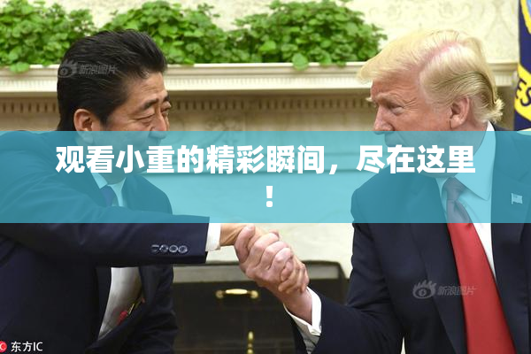 观看小重的精彩瞬间，尽在这里！