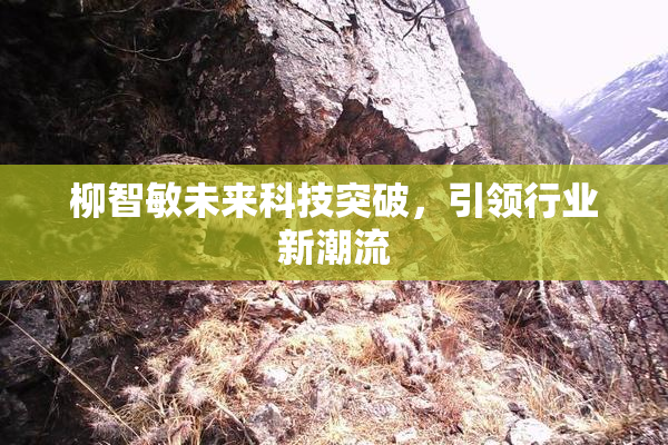 柳智敏未来科技突破，引领行业新潮流