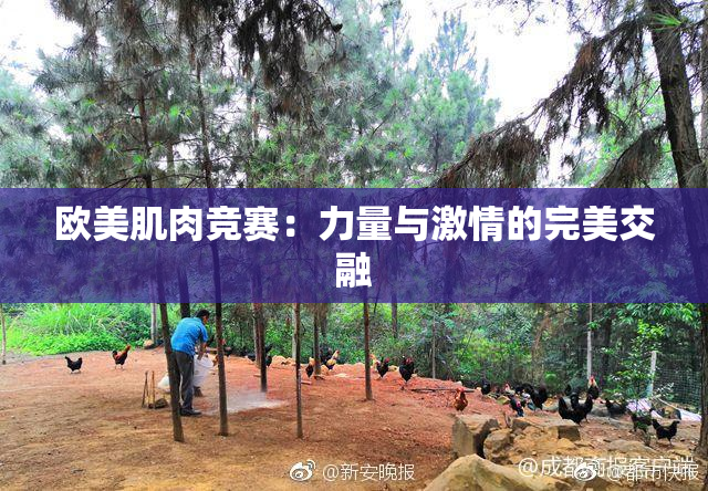 欧美肌肉竞赛：力量与激情的完美交融
