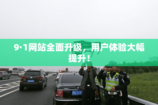 9·1网站全面升级，用户体验大幅提升！