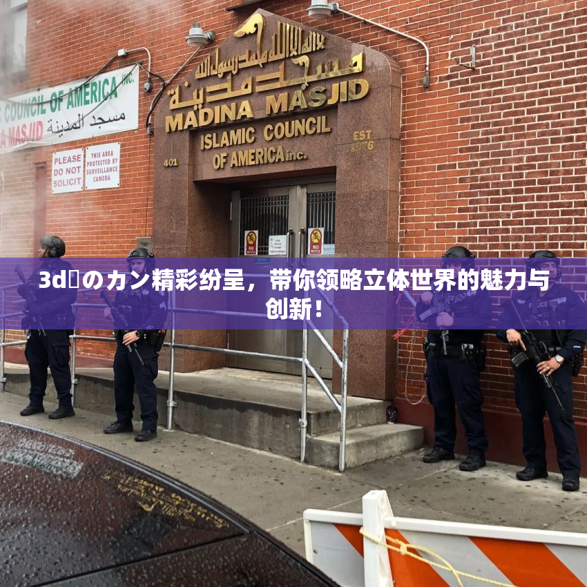 3d姉のカン精彩纷呈，带你领略立体世界的魅力与创新！