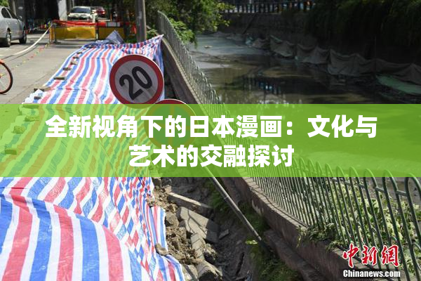 全新视角下的日本漫画：文化与艺术的交融探讨