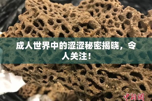 成人世界中的涩涩秘密揭晓，令人关注！