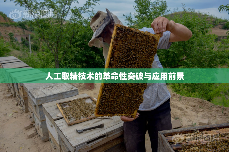 人工取精技术的革命性突破与应用前景