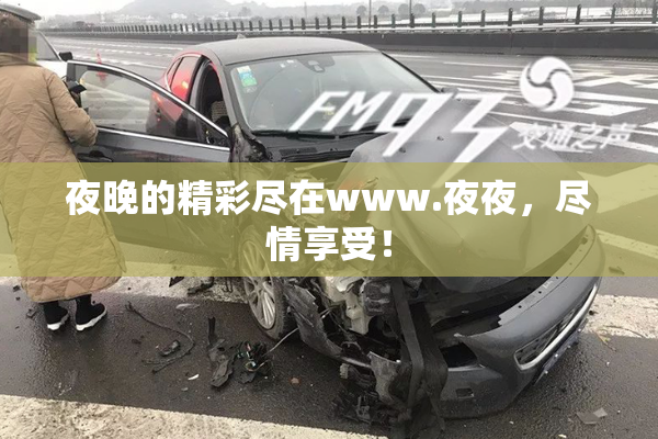 夜晚的精彩尽在www.夜夜，尽情享受！