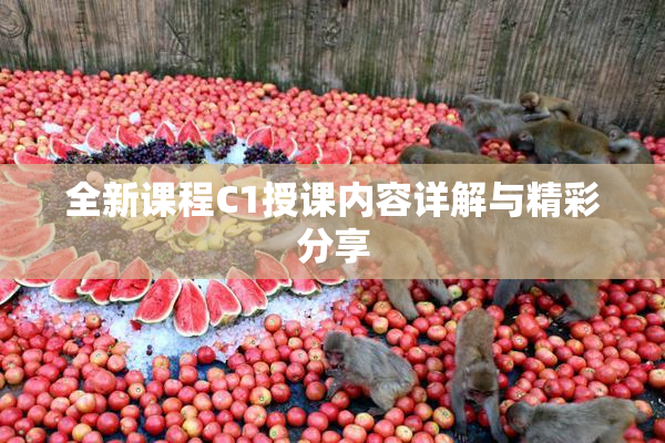 全新课程C1授课内容详解与精彩分享