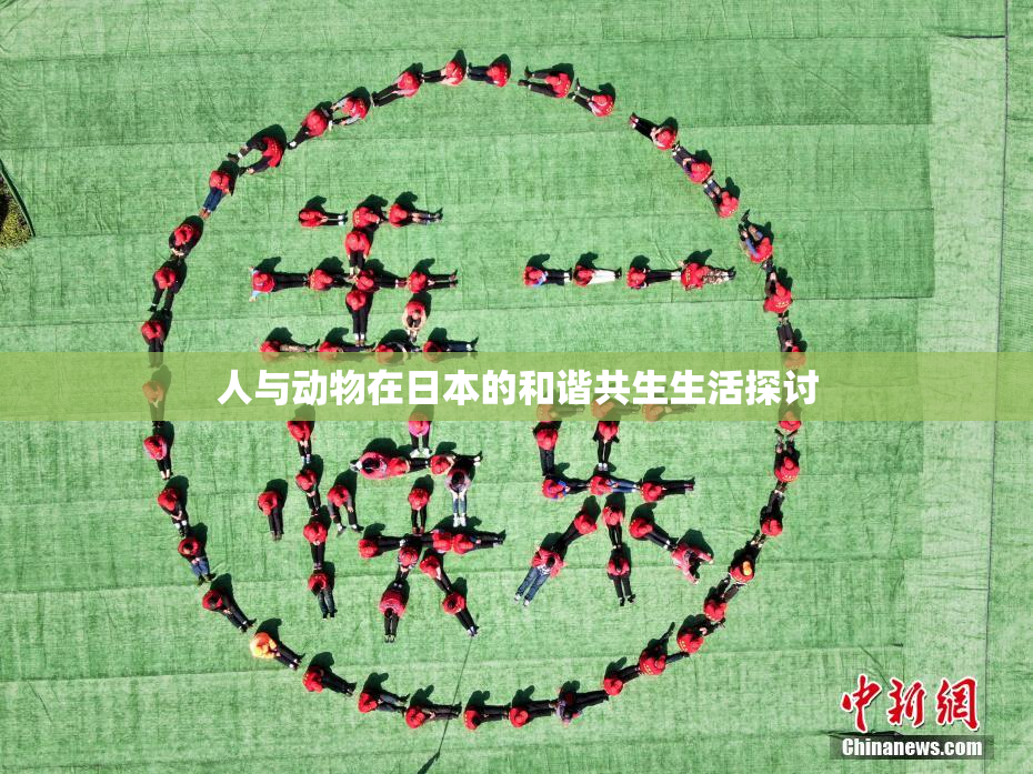 人与动物在日本的和谐共生生活探讨