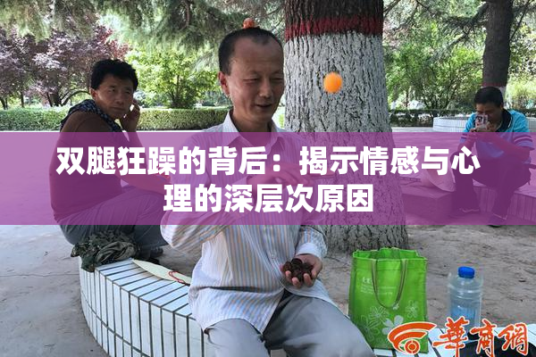 双腿狂躁的背后：揭示情感与心理的深层次原因