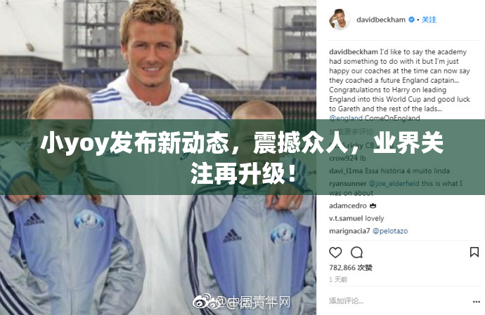 小yoy发布新动态，震撼众人，业界关注再升级！