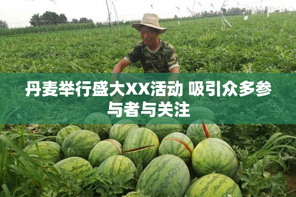 丹麦举行盛大XX活动 吸引众多参与者与关注