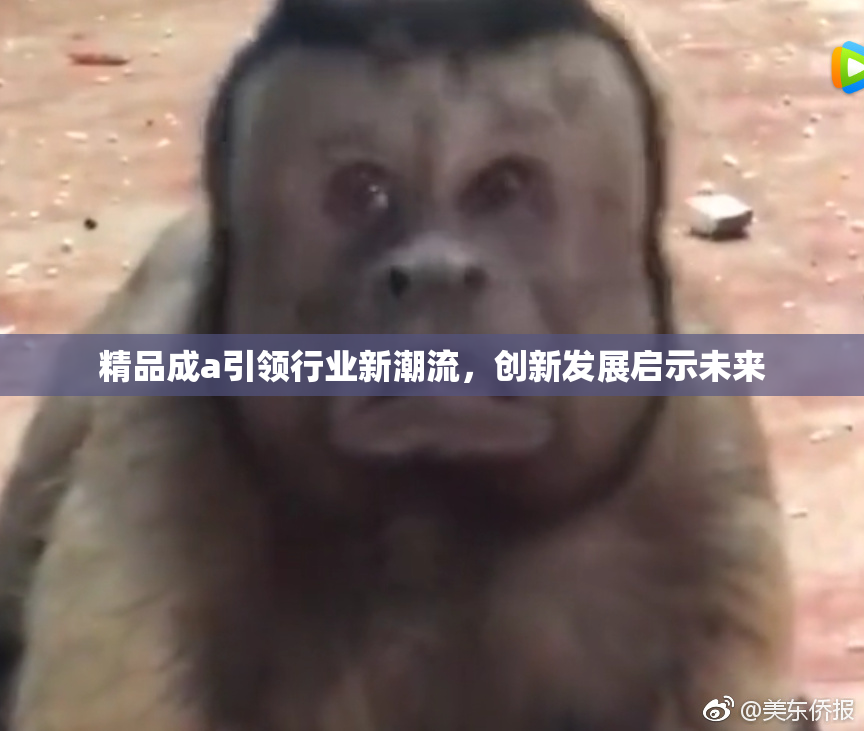 精品成a引领行业新潮流，创新发展启示未来