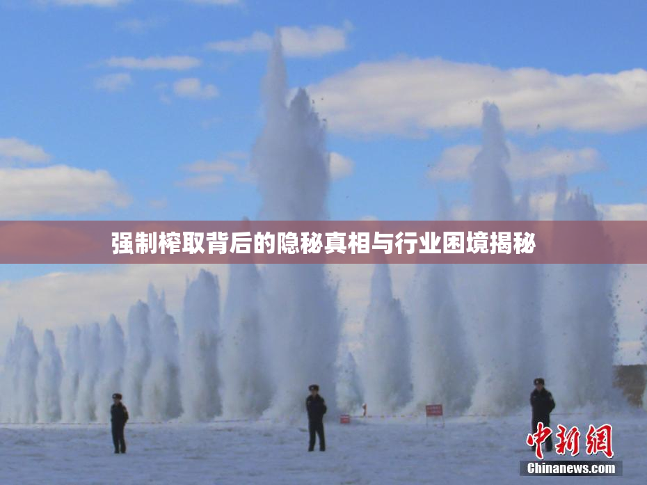 强制榨取背后的隐秘真相与行业困境揭秘
